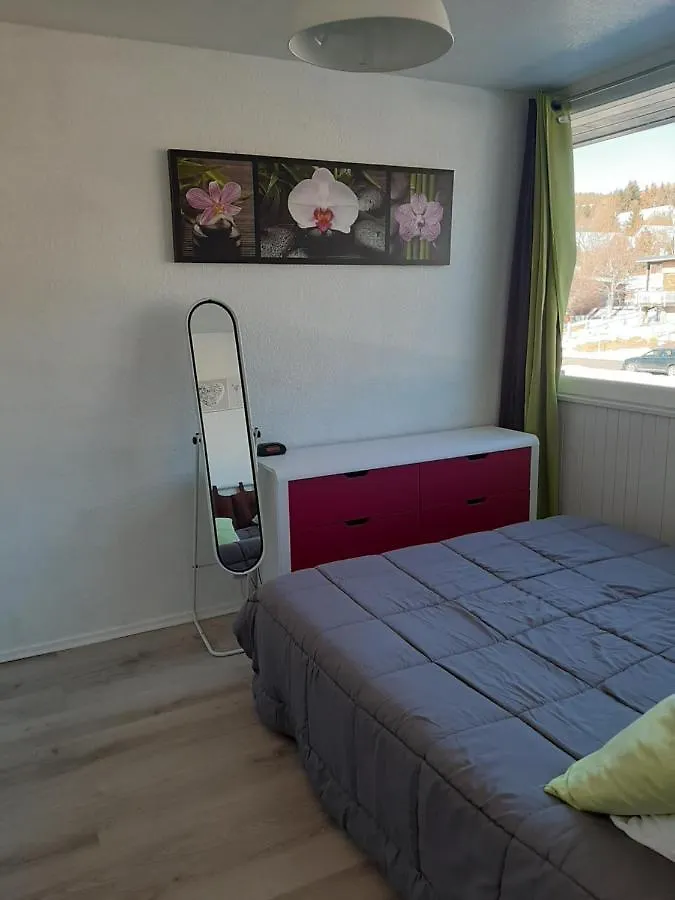 Bel Appartement Super Besse France