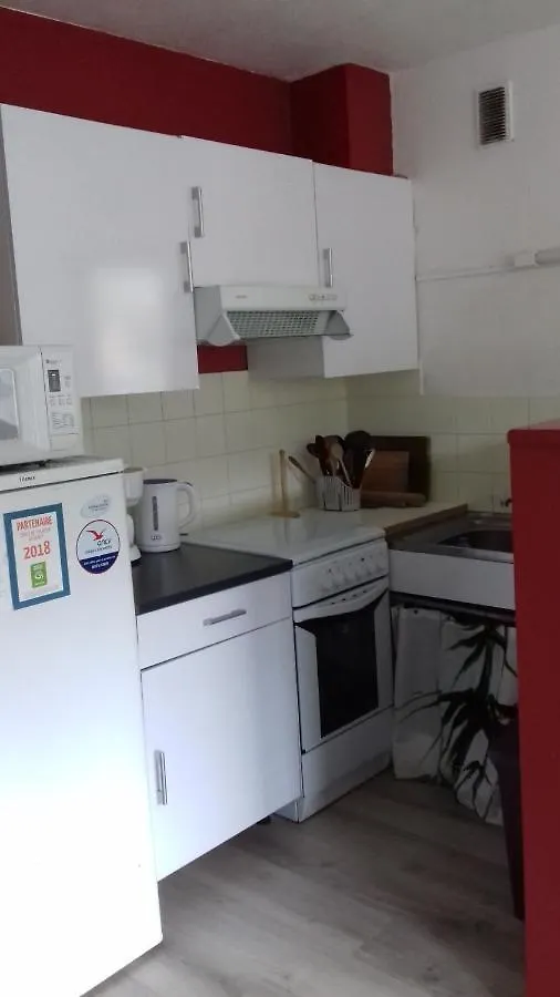 Bel Appartement Super Besse Besse-et-Saint-Anastaise